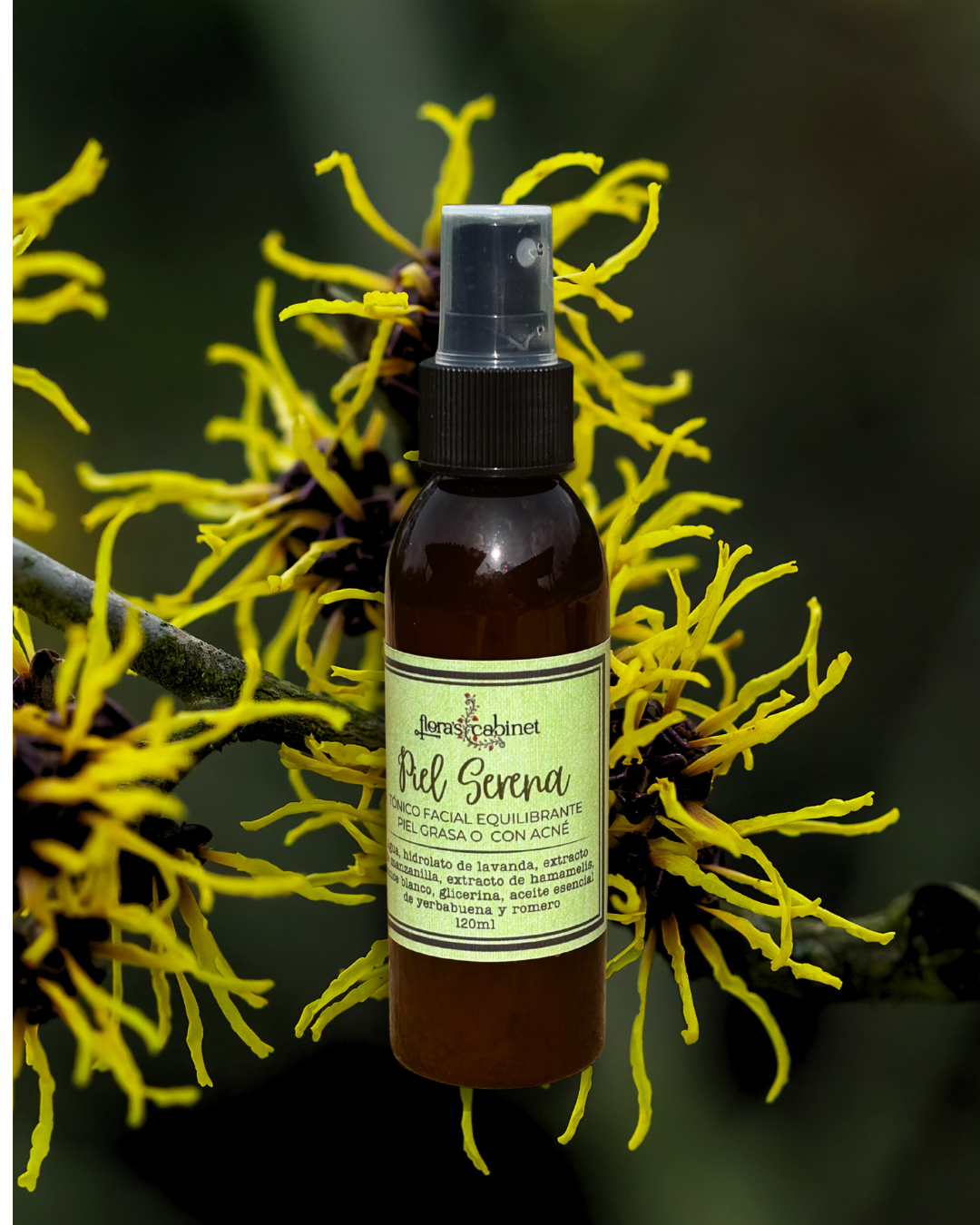 Piel serena. Piel grasa y acné